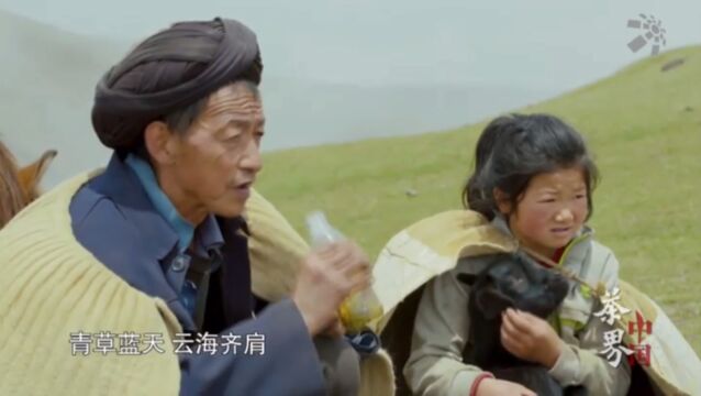 这条因茶而起由人与骡马踏出来的茶马古道究竟有着怎样的神奇