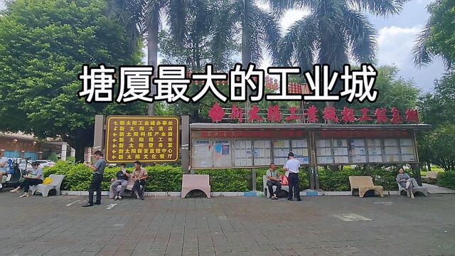 广东东莞,塘厦新太阳工业城,100多栋厂房,很多打工人的第一站