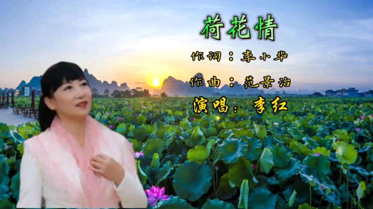 《荷花情》原唱:李红,抒情歌声美妙旋律,美醉了