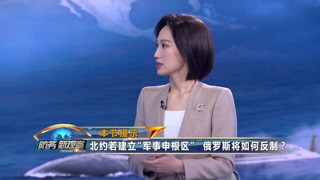 北约若建立“军事申根区” 俄罗斯将如何反制?