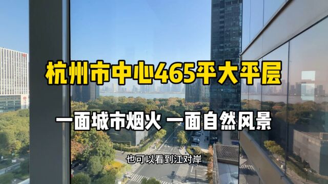 杭州市中心465平大平层,一面城市烟火、一面自然风景!