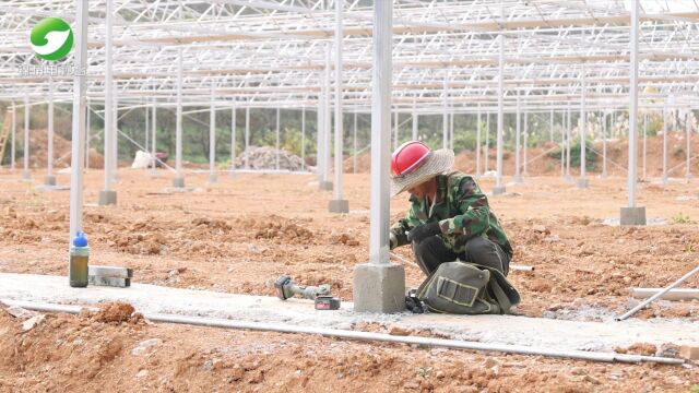 2023年11月30日锦屏新闻锦屏以示范基地为抓手 全力推进高效农业产业园建设