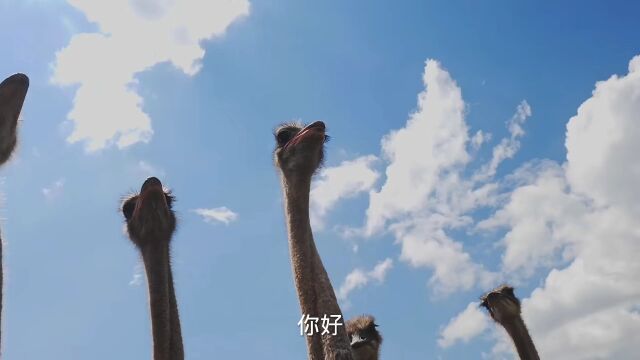 散文【你好 十二月】