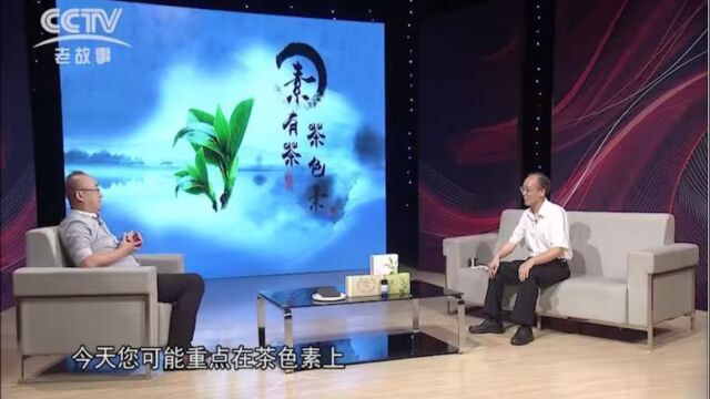 杭州高莼茶色素娄宣科采访10分钟