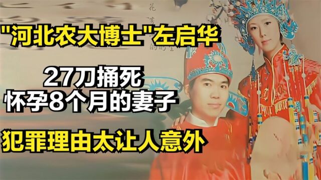 河北农大博士左启华,27刀捅死怀孕8个月的妻子,犯罪理由太意外