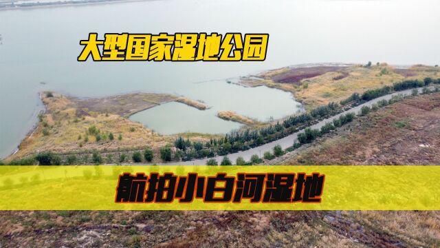 航拍内蒙包头小白河,大型国家湿地公园