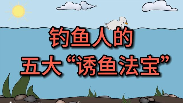 钓鱼人的5件“诱鱼法宝”,你用过几件?