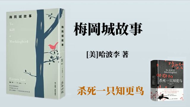 《梅冈城故事》坚持正义与良知,去做对的事