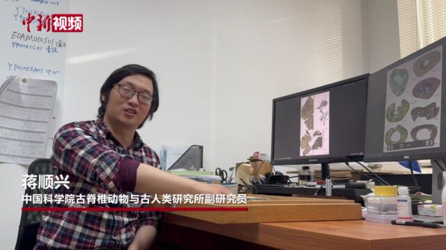 中国热河生物群发现翼龙新属种,华北克拉通翼龙研究挑战多项传统认知