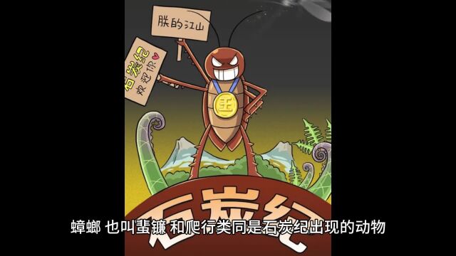 房间“蟑螂成窝”?教你一个土方法,让蟑螂“消失了”