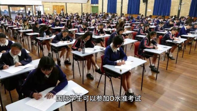 资深留学文案分享:进入新加坡公立中小学就读的三种方法