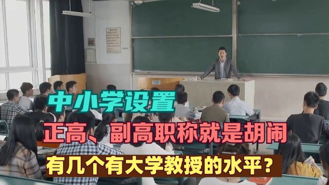 中小学设置正高、副高职称就是胡闹,有几个有大学教授的水平?