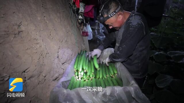 早安山东|新版外国人永居证“五星卡”签发启用;黄河山东段正式进入凌汛期 ;以军恢复军事行动以来加沙死亡人数已升至178人