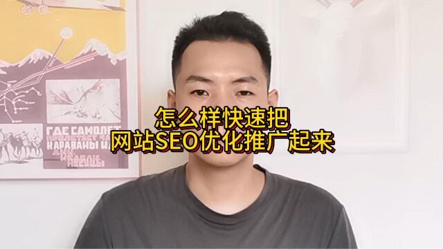 怎么样快速把网站SEO优化推广起来