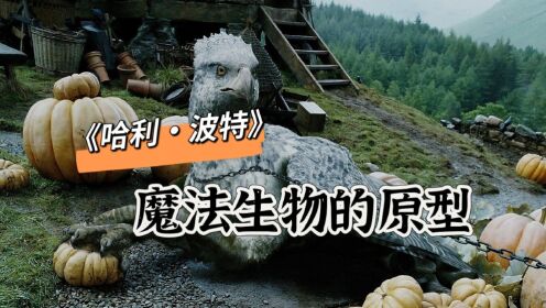 魔法世界的那些神奇动物们,现实原型都是什么呢?_高清1080P在线观看平台_腾讯视频