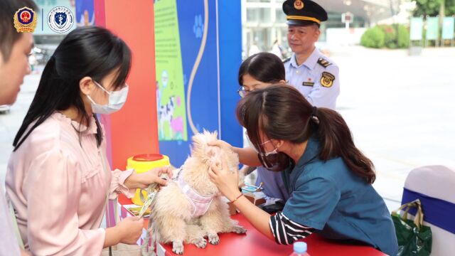 爱宠义诊、免费驱虫!深圳这场动物防疫趣味普法人气火爆