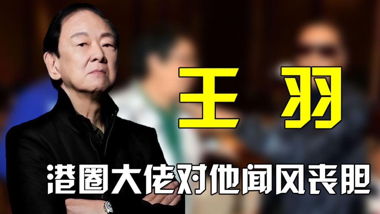 王羽到底有何来头,自曝被林青霞倒追,还让谢贤爬着去见他