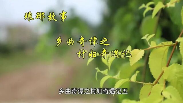 琅琊故事 | 乡曲奇谭之村妇奇遇记