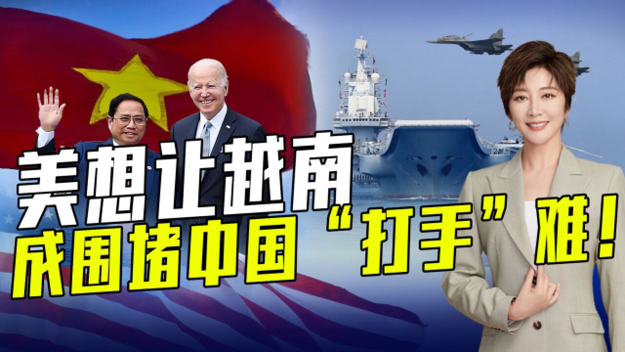 美提升美越关系是希望在南海多一个围堵中国"打手" ,但越看重中越关系