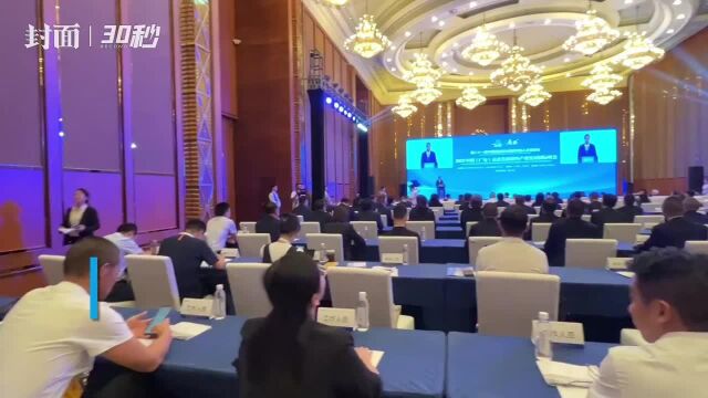 2023中国(广安)玄武岩新材料产业发展国际峰会在成都召开