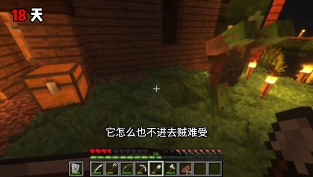 畸变100天Ep2:我发现了一本残破的日记5#我的世界