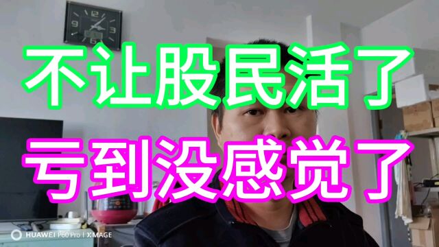 中视频17000后,血亏的一天亏麻了躺平了天天大跌吧#股票#股市