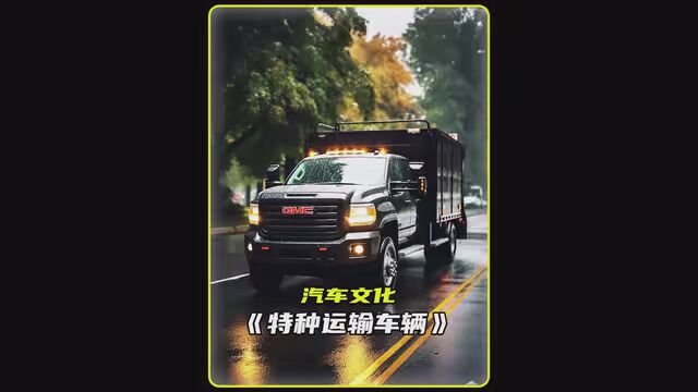 特种车辆运输,底盘都趴在了地上#军人的家国情怀 #记录我的军旅之路