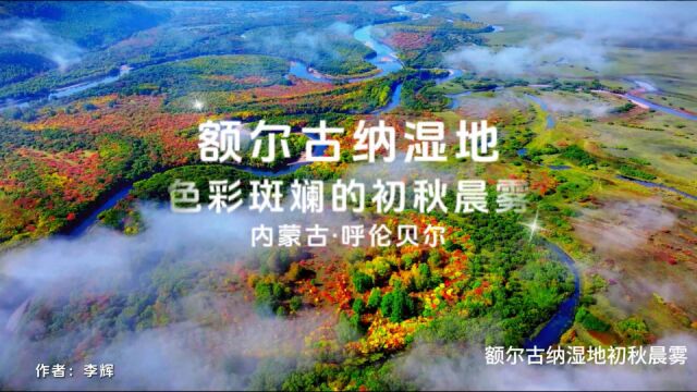 青山绿水看内蒙古丨呼伦贝尔——额尔古纳湿地