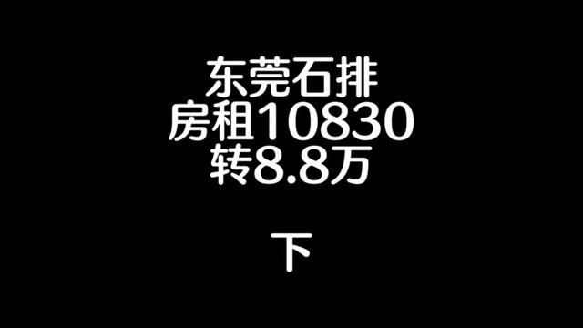 有团队的开搞 #找店转店 #店铺转让 #专业的事交给专业的人 #桥锅找店转店 #桥锅帮忙转