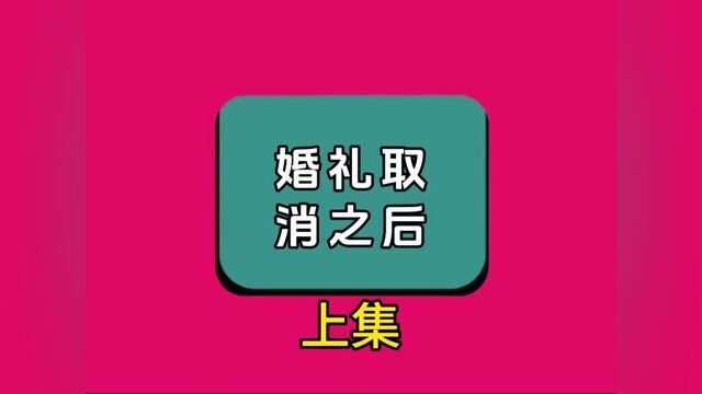 《婚礼取消之后》全集#番茄小说 #小说 #关注我每天分享故事