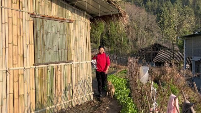 厨房修好了,春花就地取材用报纸糊墙用砖砌地板,你们觉得好看吗 #搭建特色竹屋 #我的乡村生活