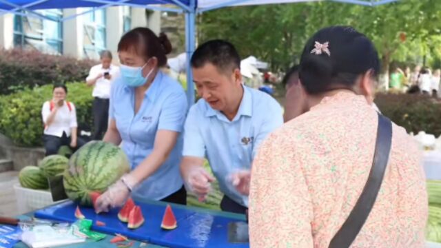 重庆师范大学迎新,为新生送上消暑礼,摆900个西瓜免费吃