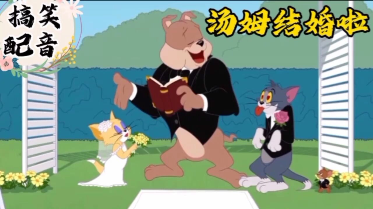 搞笑配音《猫和老鼠》大傻猫结婚了可把小耗子忙晕了_高清1080P在线观看平台_腾讯视频