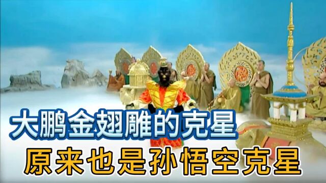 大鹏金翅雕敢大闹灵山却不敢大闹天宫,因为天庭有个飞禽类的克星