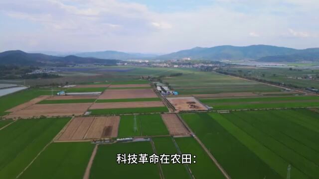 全国粮食总产量达13908.2亿斤