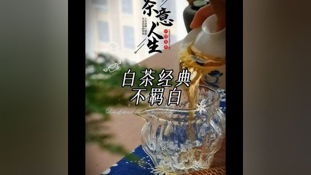 白茶经典不羁白#爱喝茶的关注我 #召唤茶友 #普洱茶