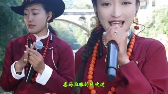 一曲民族情歌《情歌呀啦嗦》,藏区姐妹演唱,歌声嘹亮动听,好声音