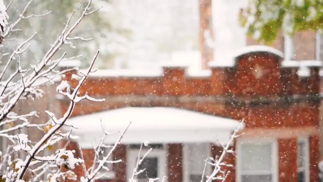 下雪了,吃铁锅炖大鹅了!