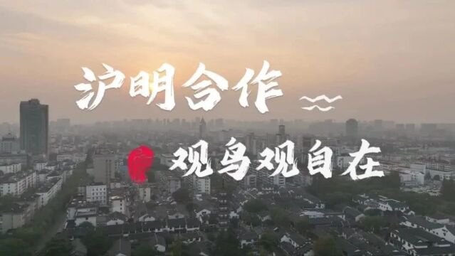 走进明溪 | 沪明合作,观鸟观自在