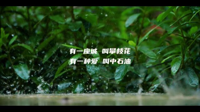 特别的爱给特别的你(中石油攀枝花公司)