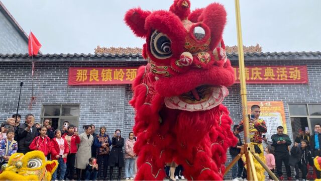 岭颈德光刘公祠续修圆满庆典活动