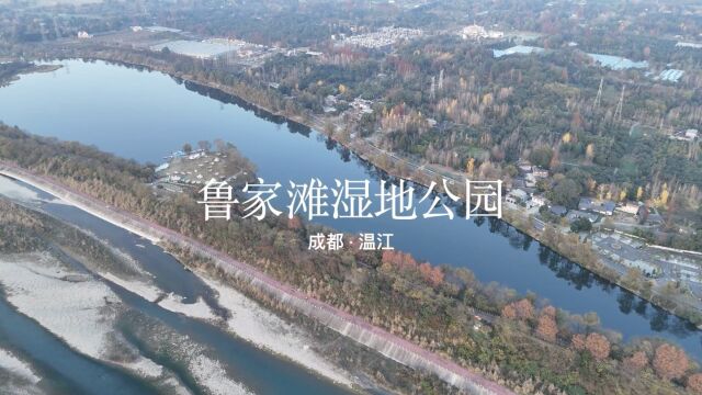 成都周边周末小憩,来温江这个鲁家滩湿地公园搭个帐篷吧