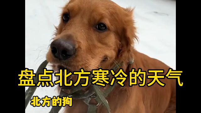 盘点北方寒冷的天气