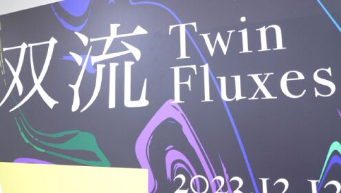 孪生艺术创始人张森、张勇参展《双流 Twin Fluxes》，现场视频纪实。