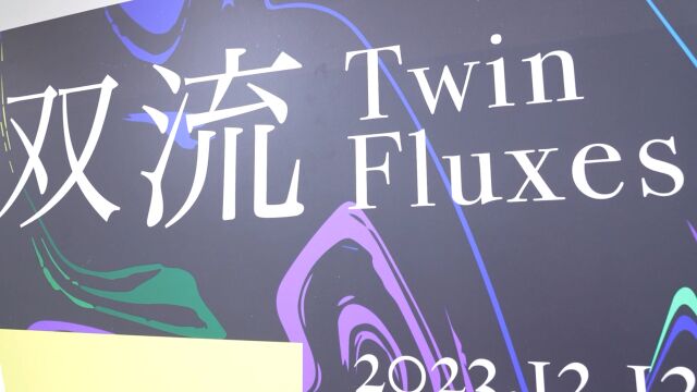 孪生艺术创始人张森、张勇参展《双流 Twin Fluxes》,现场视频纪实.