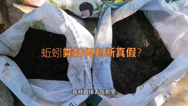 蚯蚓粪如何判断真假?方法简单