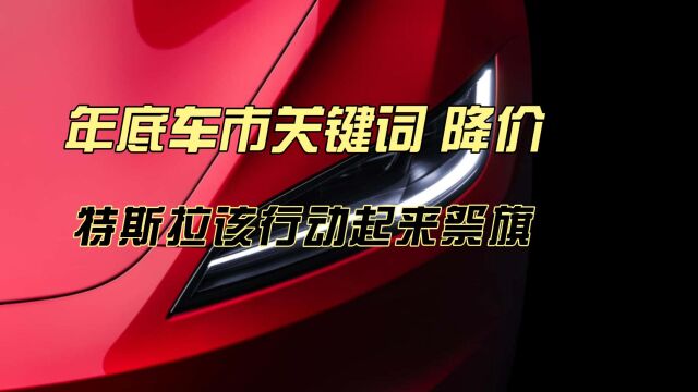 年底车市关键词 降价 特斯拉行动起来祭旗