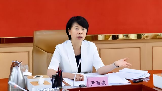 “70后”女县委书记尹丽波任海南省副省长