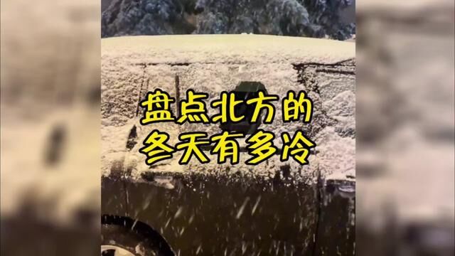 北方的冬天有多冷?如果南方的冬天是魔法攻击,那北方的冬天就是物理加魔法攻击#雪地里撒欢 #北方的冬天 #专治不开心