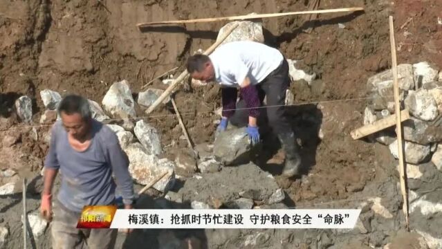 梅溪镇:抢抓时节忙建设 守护粮食安全“命脉”